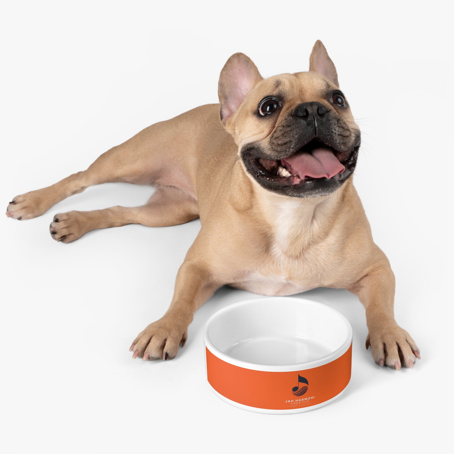Orange Stripe Pet Bowl with 'Jah Harmoni Creative' Logo